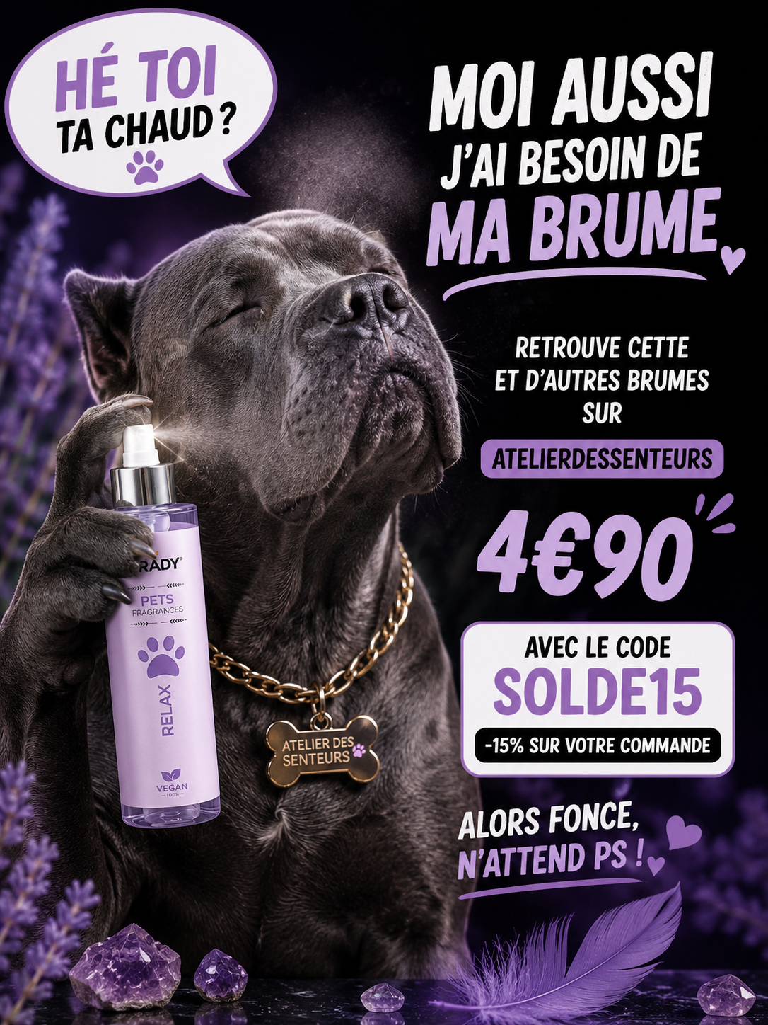 Brumes Parfumées pour Chiens – Fraise, Relax & Fresh | Atelier des Senteurs